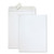 Redi-Strip Catalog Envelope, #10 1/2, Cheese Blade Flap, Redi-Strip Adhesive Closure, 9 x 12, White, 100/Box [SKU: QUA44582]