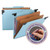 FasTab Hanging Pressboard Classification Folders, 2 Dividers, Letter Size, Blue [SKU: SMD65115]