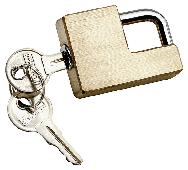 REESE TOWPOWER 7005300 Universal Trailer Coupler Lock, Brass [SKU: ORG3776267]