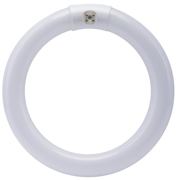 Feit Electric FC8T9/D Fluorescent Bulb, 22 W, T9 Circline Lamp, G10q 4-Pin Lamp Base, 980 Lumens, Daylight Light [SKU: ORG1014083]