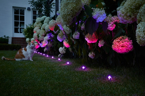 Sylvania 75540 Outdoor Accent Expansion, 120 V, 3.5 W, 3-Lamp, LED Lamp, 20,000 hr Average Life, 4.5 ft L [SKU: ORG0017079]