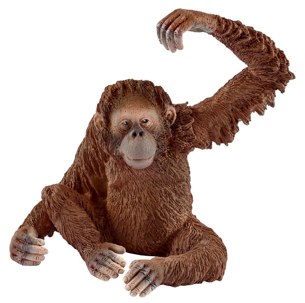 Schleich-S 14775 Figurine, 3 to 8 years, Female Orangutan, Plastic [SKU: ORG7214968]