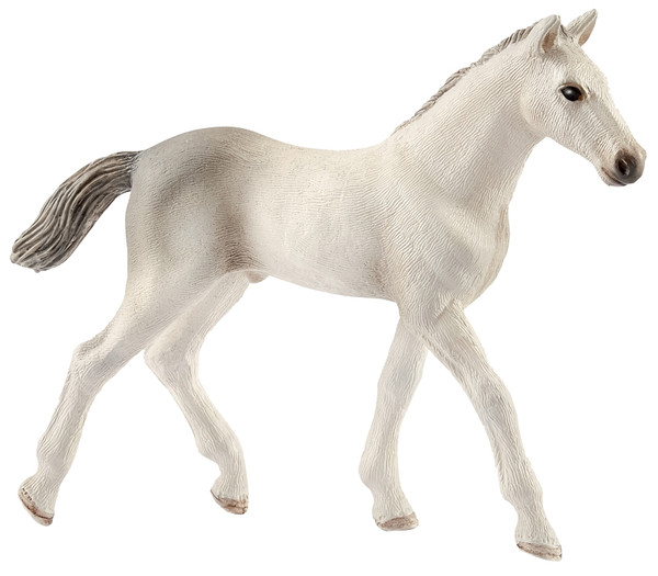Schleich-S 13860 Figurine, 5 to 12 years, Holsteiner Foal, Plastic [SKU: ORG7215577]
