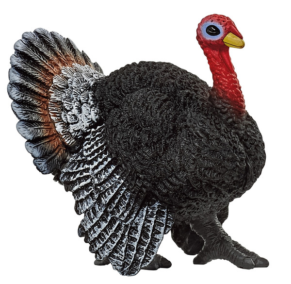 Schleich-S 13900 Turkey Bird Toy, 3 to 8 years, Blue/Red [SKU: ORG7414337]