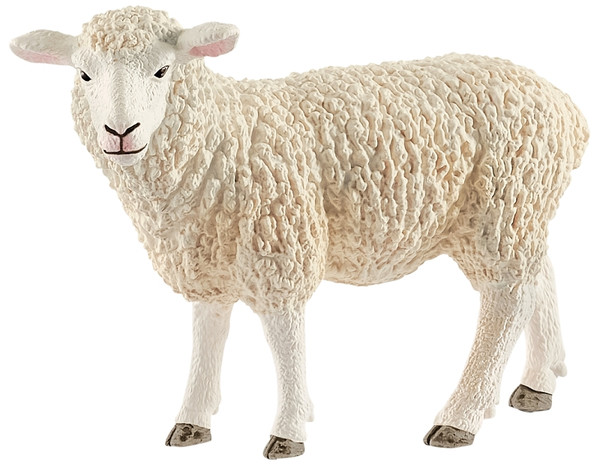 Schleich-S 13882 Toy, 3 years and Up, Sheep [SKU: ORG7414261]