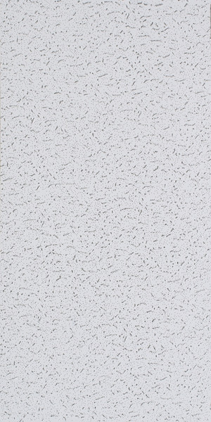 USG Fifth Avenue Series 280 CTN Ceiling Panel, 48 in L, 24 in W, 5/8 in Thick, Directional Fissured Pattern, White [SKU: ORG6938765]