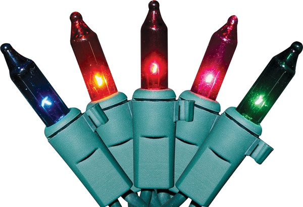 Hometown Holidays 07520 Light String, 25-Lamp, LED Lamp [SKU: ORG0388553]