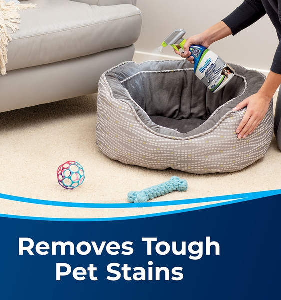 BISSELL Woolite 11521 Pet Stain and Odor Remover, Liquid, Characteristic, 22 oz [SKU: ORG2047371]