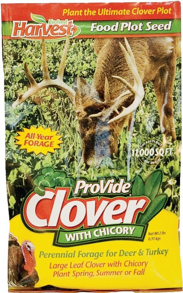 Evolved Habitats ProVide Clover with Chicory EVO70202 Food Plot Seed, 2 lb Bag [SKU: ORG1333467]