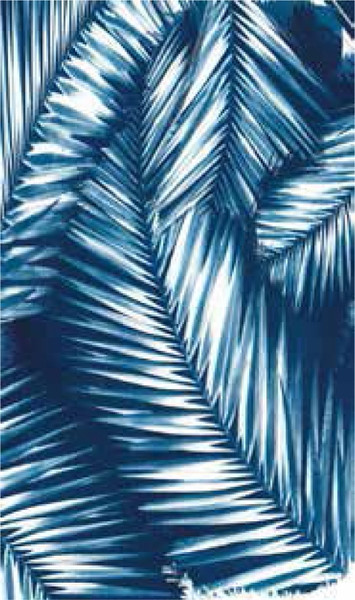 QUAGGA P11721-NVY Safety Scarf, Navy [SKU: ORG5677802]
