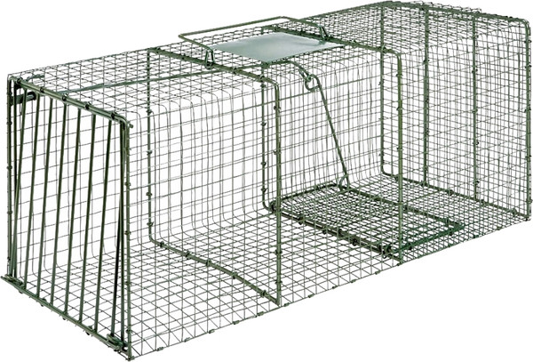 DUKE TRAPS 1114 Cage Trap, 36 in L, 15 in W, 14 in H [SKU: ORG6491351]