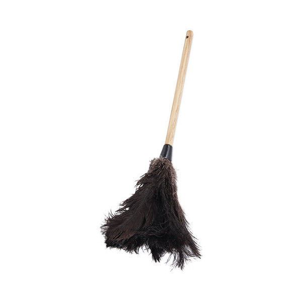 Professional Ostrich Feather Duster, 10" Handle [SKU: BWK20BK]