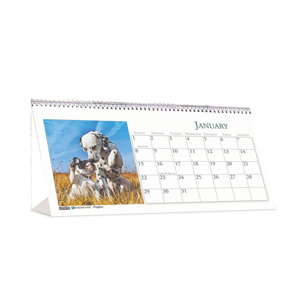 Earthscapes Recycled Desk Tent Monthly Calendar, Puppies Photography, 8.5 x 4.5, White/Multicolor Sheets, 2023 [SKU: HOD3659]