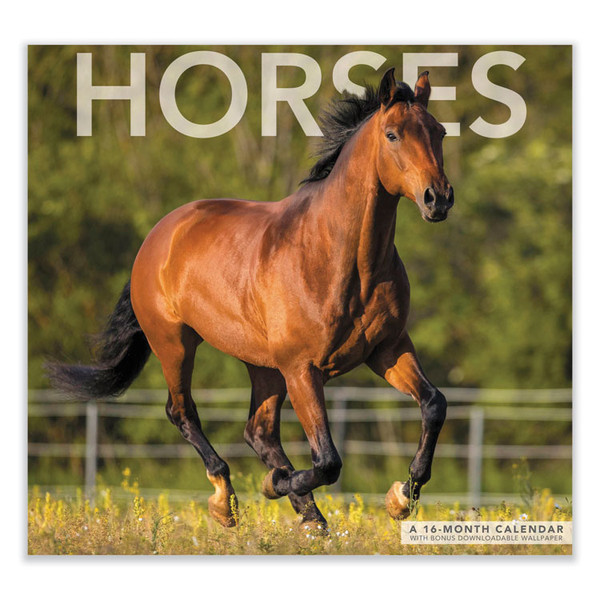 Horses Wall Calendar, Wildlife Photography, 12 x 12, White/Multicolor Sheets, 12-Month (Jan to Dec): 2023 [SKU: MEALME1591023]