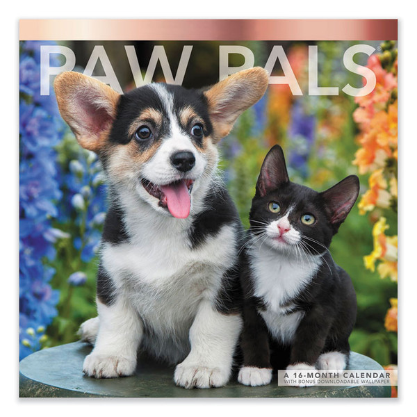Paw Pals Wall Calendar, Kitten and Puppy Photography, White/Multicolor Sheets, 12-Month (Jan to Dec): 2023 [SKU: MEALME2261023]