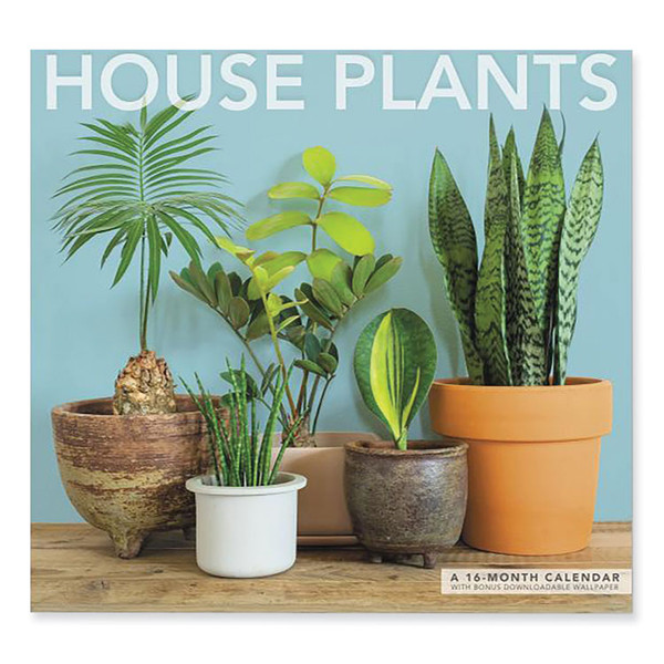House Plants Wall Calendar, Tranquil Plant Photography, White/Multicolor Sheets, 12-Month (Jan to Dec): 2023 [SKU: MEALME3521023]