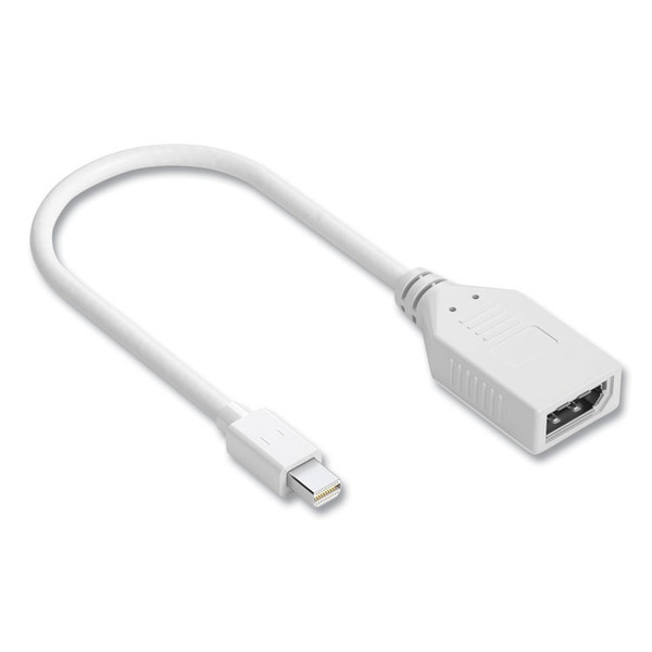 Mini DisplayPort to DisplayPort Adapter, 6", White [SKU: NXT24400023]
