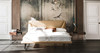 Amadeus American King size  193x203 cm