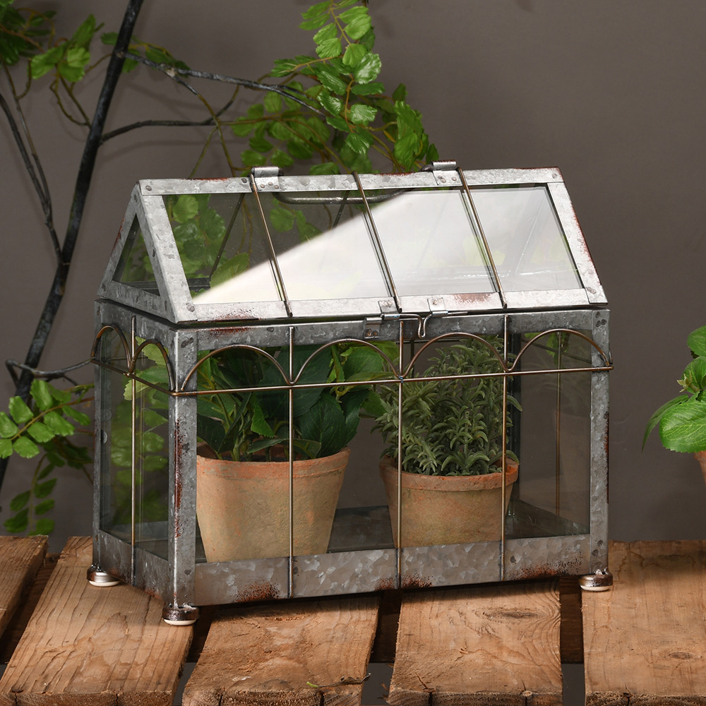 Copenhagen Greenhouse Mini Greenhouse Decoration Sarah Raven