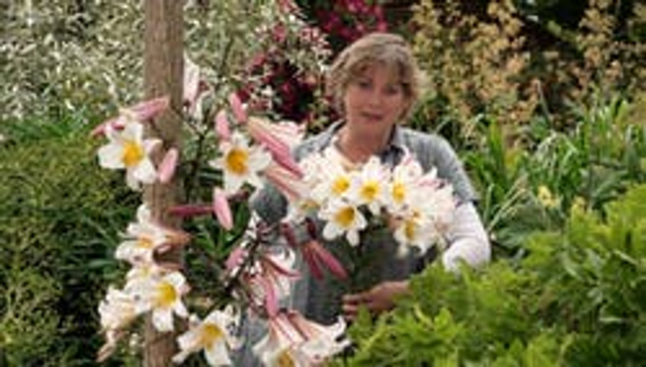 bulbs Posts Sarah Raven Sarah Raven