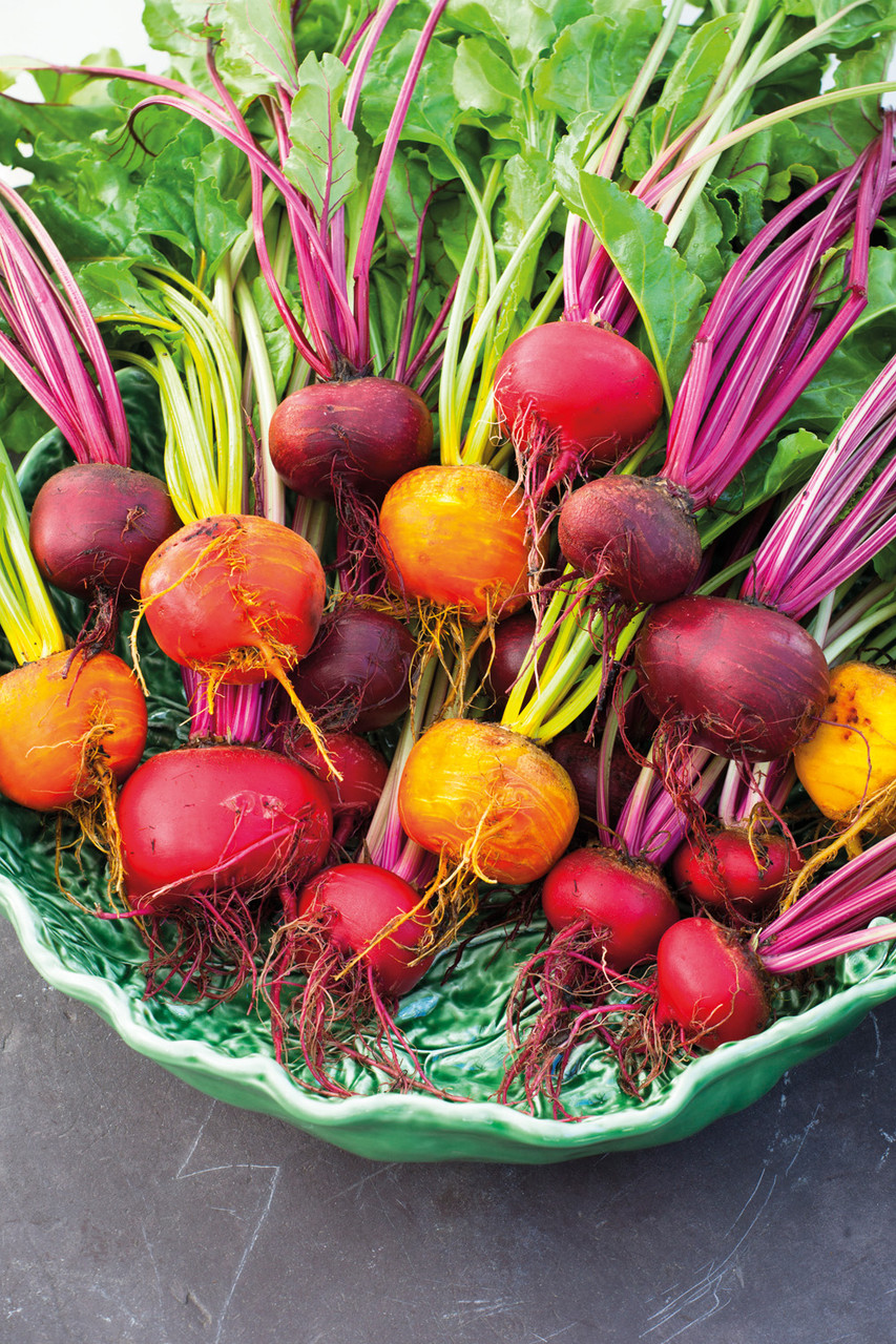 Image of Beetroot and Cosmos