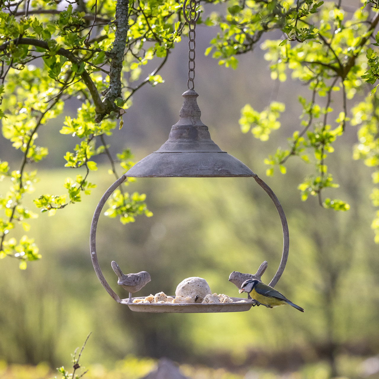 Hanging Bird Feeder