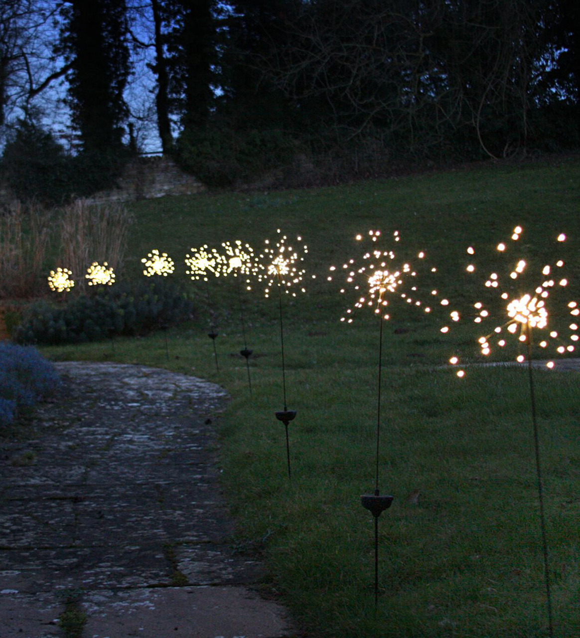 solar allium stake lights