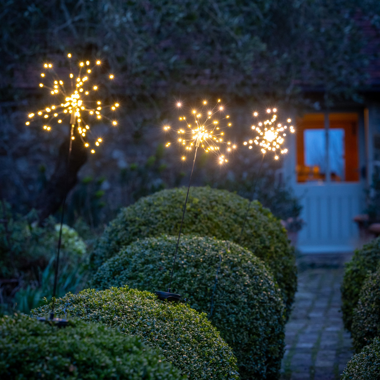 solar allium stake lights