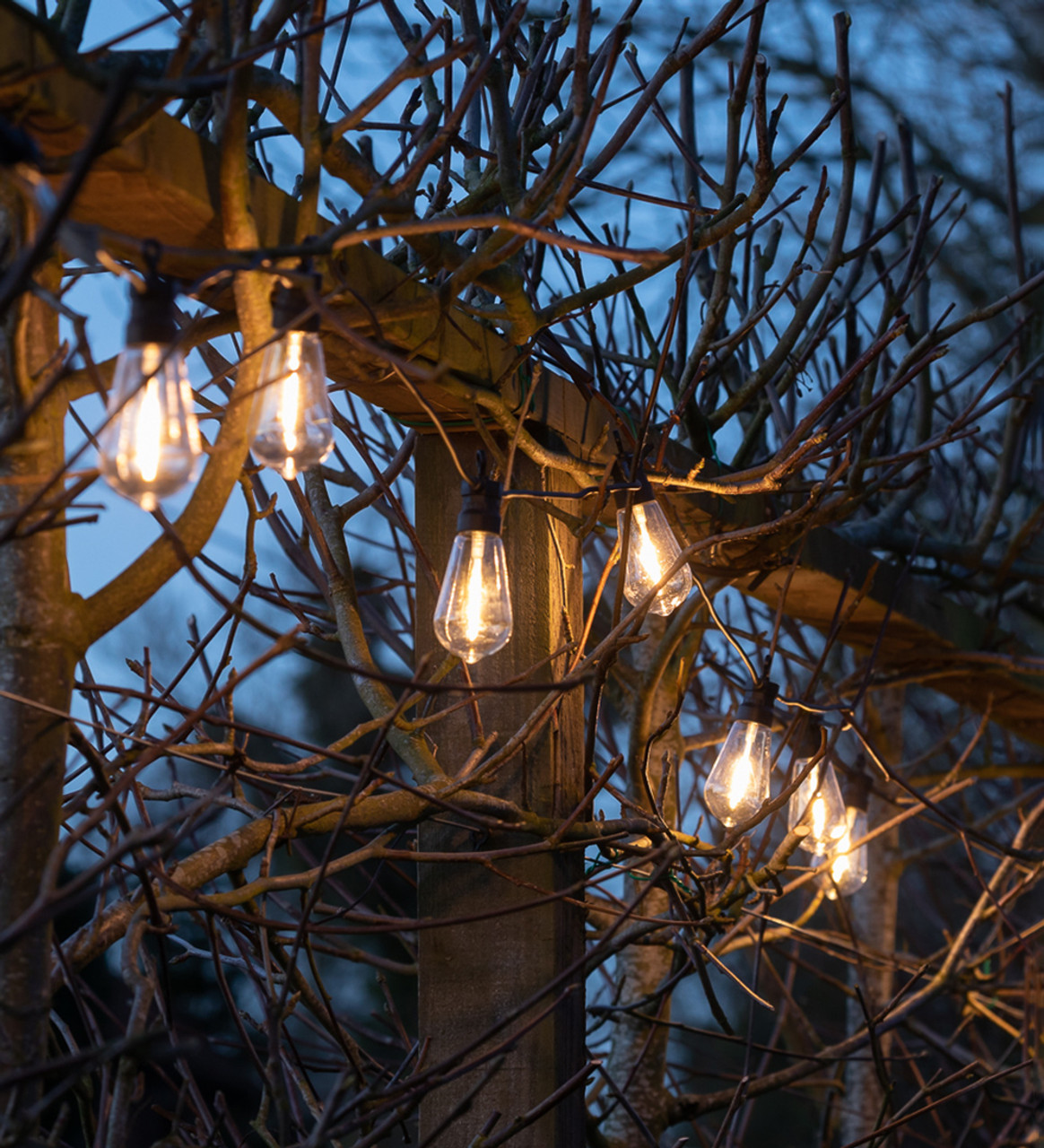 battery powered festoon lights