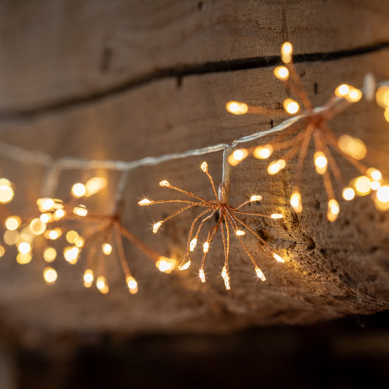 allium fairy lights