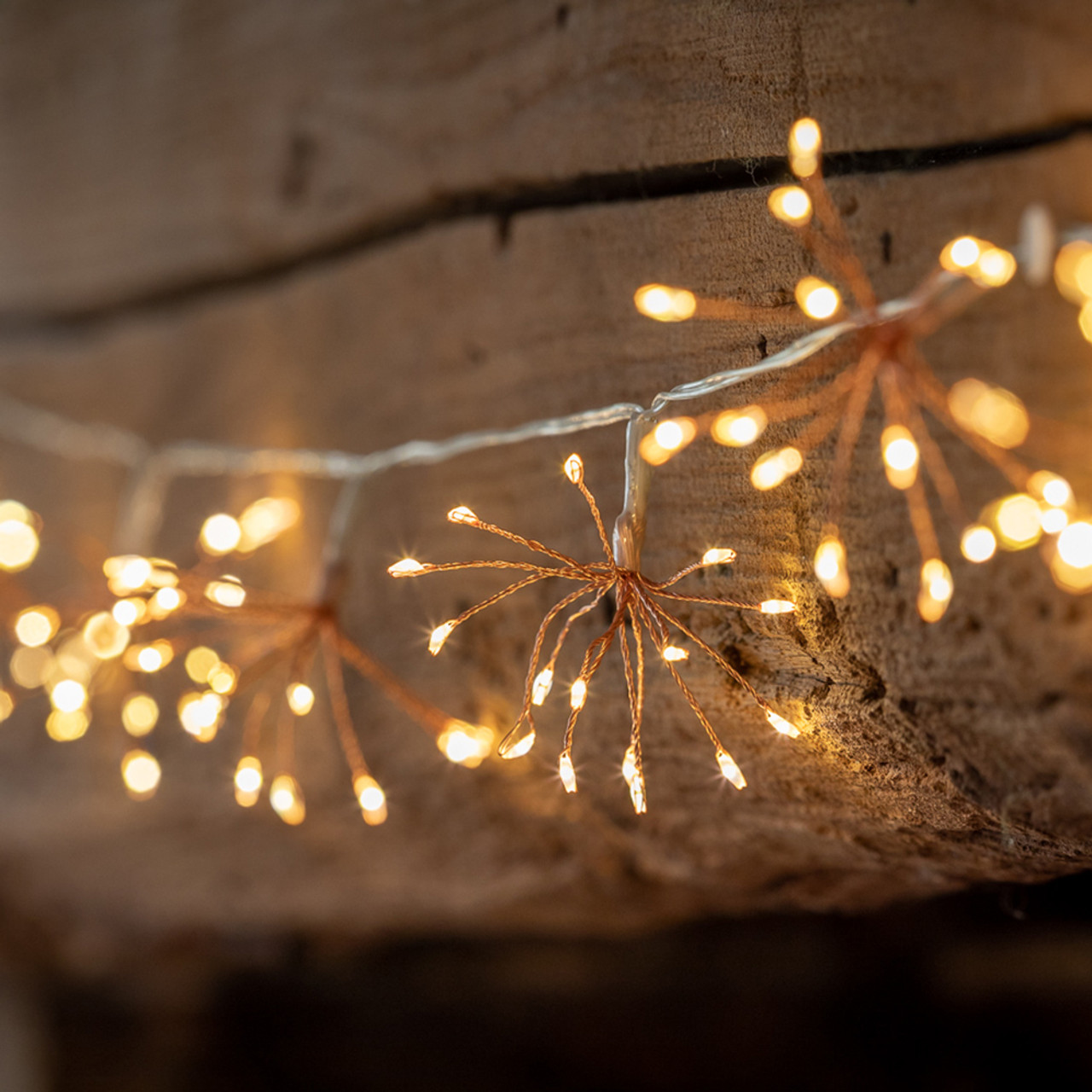 Mini Allium Light Chains | Starburst String Lights | Sarah Raven