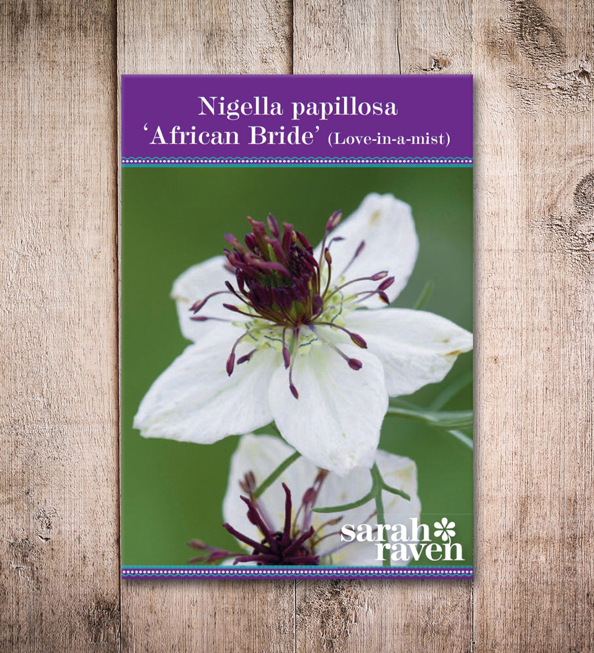 Nigelle African Bride – Floramama