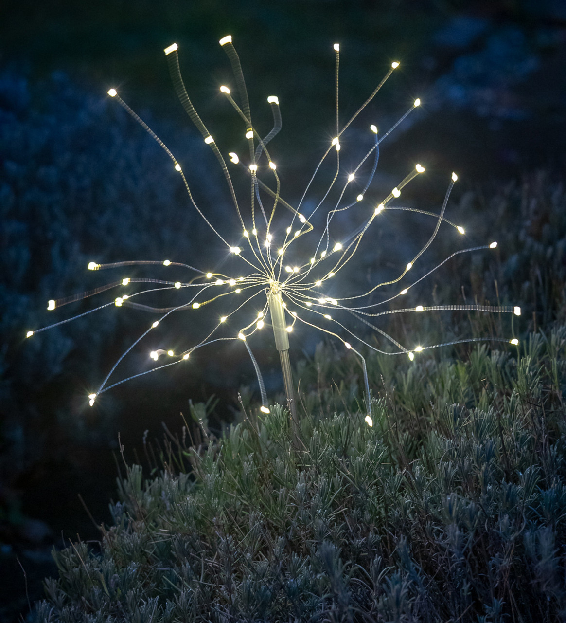 solar allium garden lights