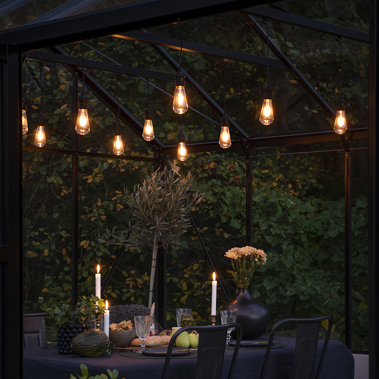 skøjte forfremmelse Beloved Opulent Outdoor Festoon Lights | Filament Bulb Style | Sarah Raven