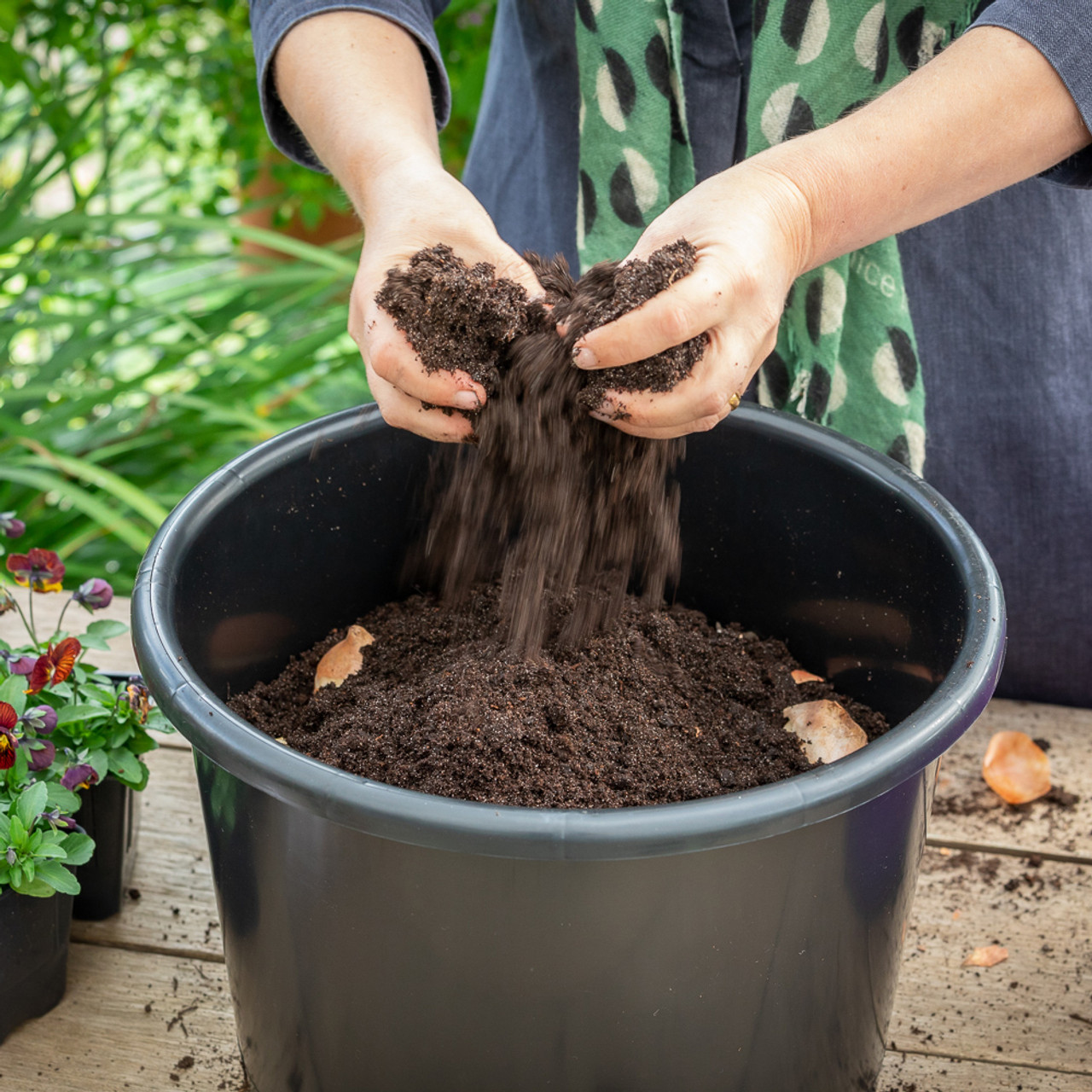 Image of Compost garden soil enhancer