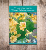 Nasturtium 'Gleam Salmon' (Tropaeolum majus)
