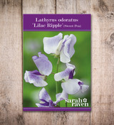 Sweet Pea 'Lilac Ripple'