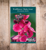 Wallflower 'Ruby Gem'