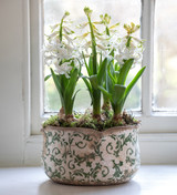 Hyacinths in Wavy Edged Green Ceramic Bowl