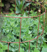 Round Plant Support