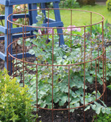 Round Plant Support