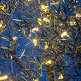 Supreme Party Lights