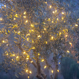 Supreme Party Lights