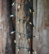 Supreme Party Lights