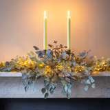 Bermondsey Eucalyptus Collection
