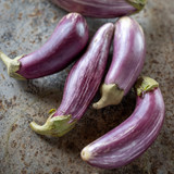 Aubergine 'Listada de Gandia'