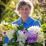 Ultimate Cafe au Lait Dahlia Collection