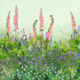 Plants for Naturalising Collection