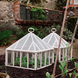 Claverton Square Cloche