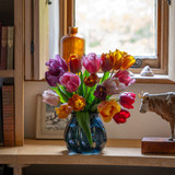 Mellow Tulip Collection